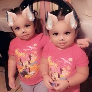 Meet your Posher, Norma